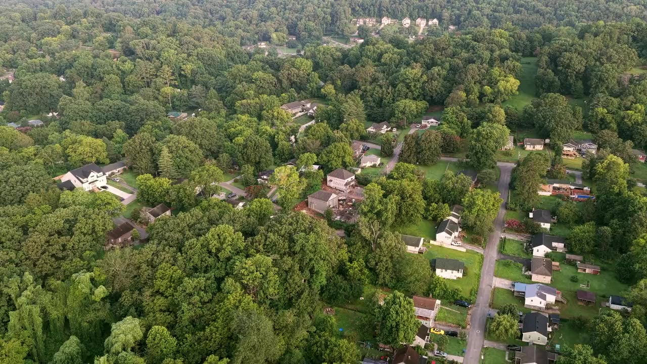 Houses among tall green trees, seen from the air in evening light